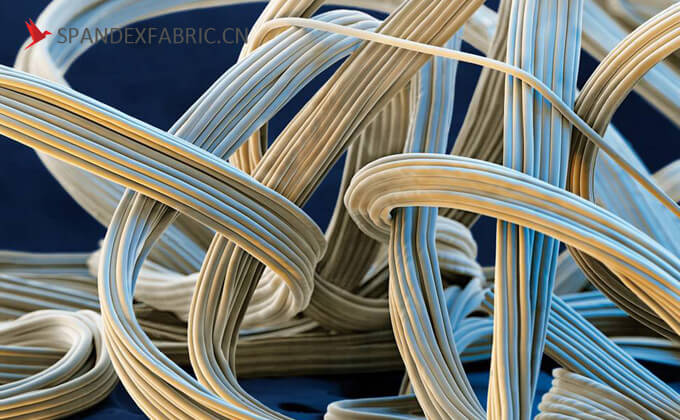 spandex fiber in microscope